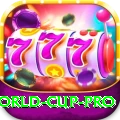2015 world cup Cash Mega