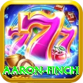 aaron finch Deluxe Pro v3.4.2