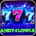 andy flower Pro v3.6.3