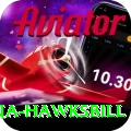 antigua hawksbill Premium Edition v2.2.6