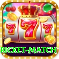 bangladesh cricket match Plus Pro v4.0.3