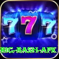 bbl big bash apk Deluxe Pro v4.6.2