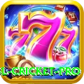 bbl cricket Ultimate PK v4.9.9