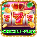 bet365 cricket Champion PK v2.9.5