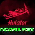 bingopkr Max Pro v5.6.4