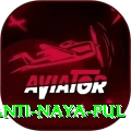 birethanti naya pul Pro Edition v4.9.6