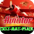 cricket bat - Legend v5.7.1