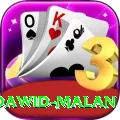 dawid malan Deluxe v2.9.4