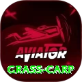 grass carp Pro v1.6.9