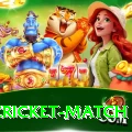 india cricket match Deluxe Pro v5.9.0
