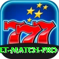 india cricket match - Pro Edition v2.3.2