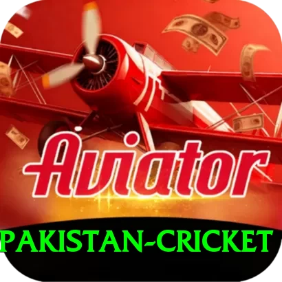 india pakistan cricket Deluxe Pro v3.5.0 - 2