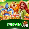 indvsa Plus Edition v3.0.8