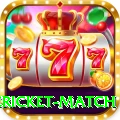 international cricket match Elite v5.9.1