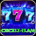 ireland cricket team Deluxe v5.1.5