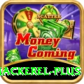king mackerel Official v5.3.4