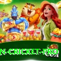 most centuries in cricket Premium APK v4.8.6