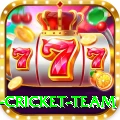 netherlands cricket team Pro v2.5.8