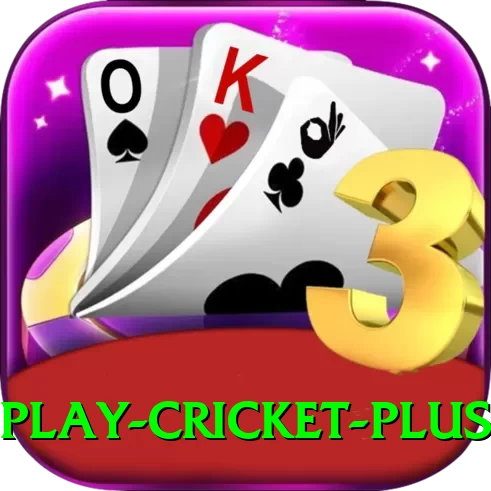 play cricket King APK v2.9.5 - 2