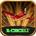 r cricket Pro Edition v3.3.9