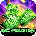 responsible gambling pakistan Ultimate v3.3.2