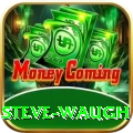 steve waugh Games (Casino & Earning) VIP v5.9.7