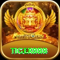 tiger888 Gold Pro vv2.7.7