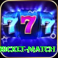 to day cricket match Deluxe Pro v4.2.5