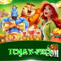 tojay Plus Pro v4.2.1