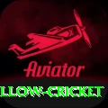 willow cricket VIP v2.0.1