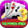 yaywin Money Pro v1.2.2